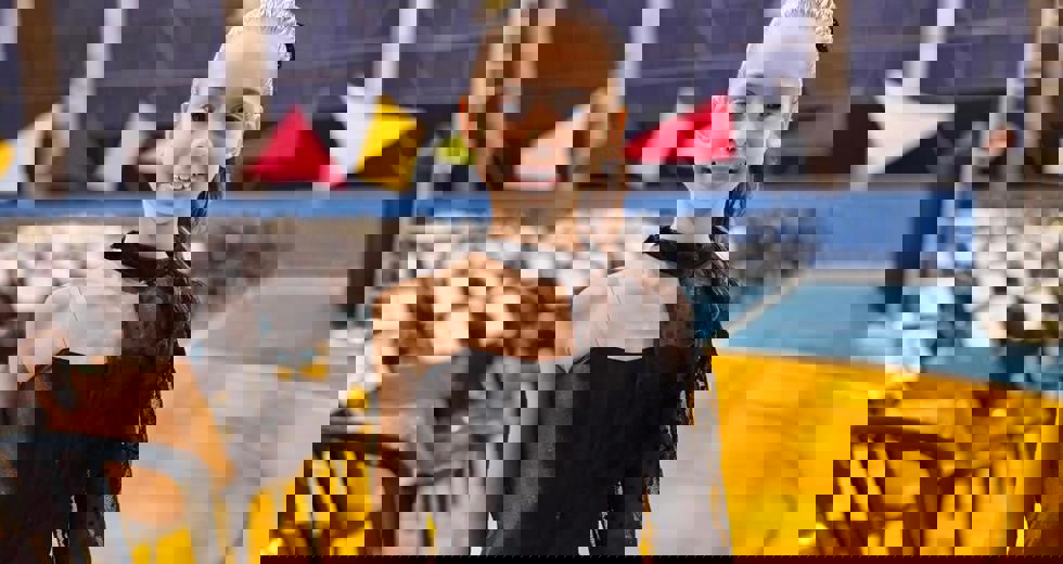 Escola Waldemar Ramos celebra 50 anos com noite de muita emoção