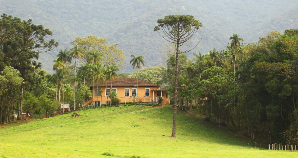 cv__6402_claudio_vieira.jpg