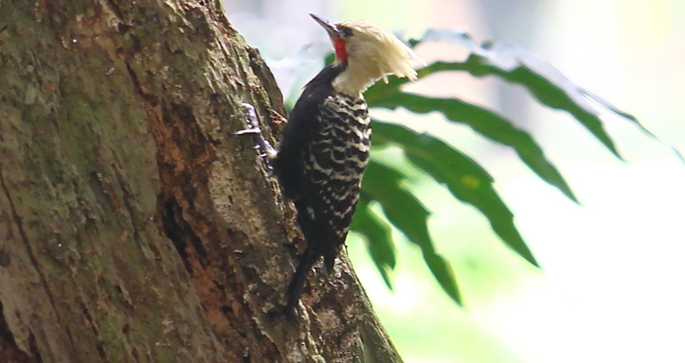 cv__4291_claudio_vieira.jpg