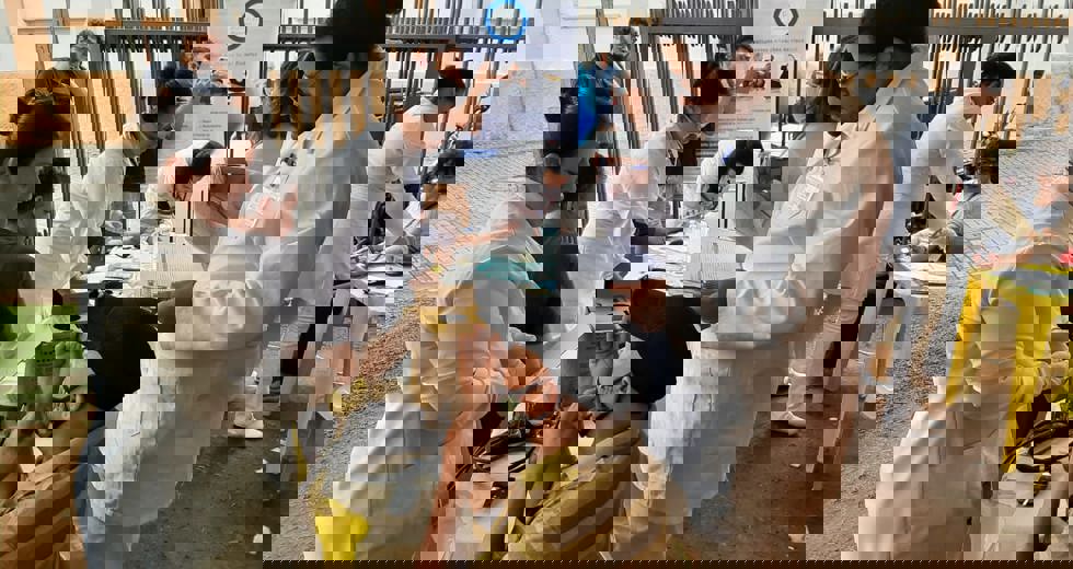 diabetes17.jpeg