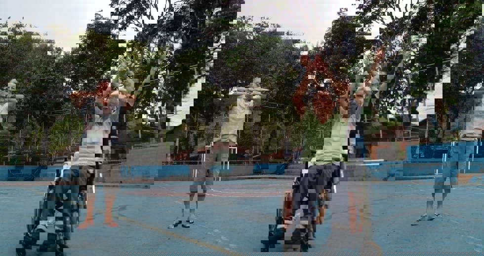 idososfx16.jpeg