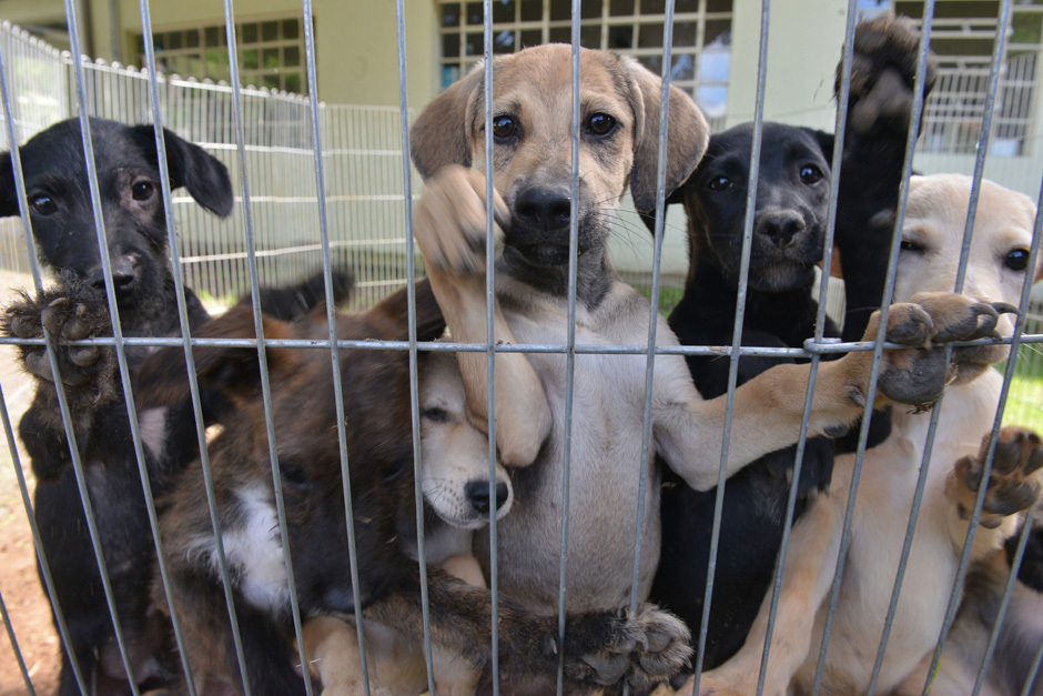 Foto: Divulgação img_7619.jpg