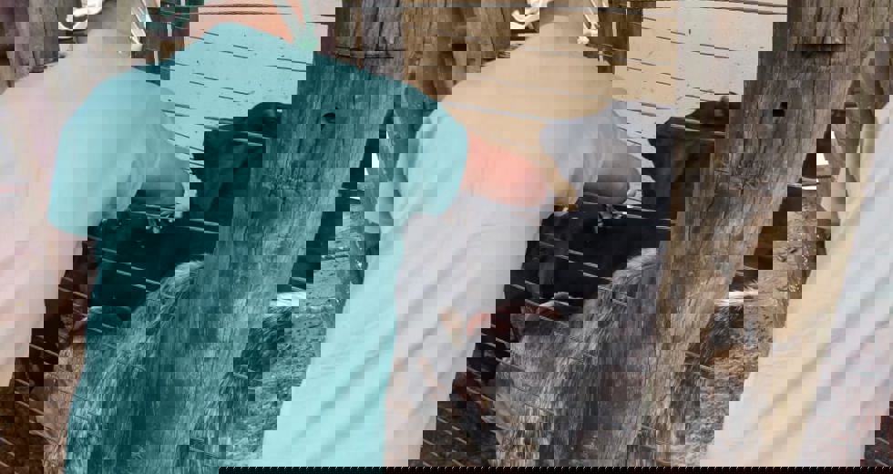 da1e1b9c-e3be-41bb-8e99-a4af4375659e.jpg