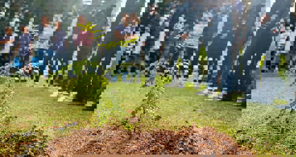 dia-meio-ambiente-6.jpeg