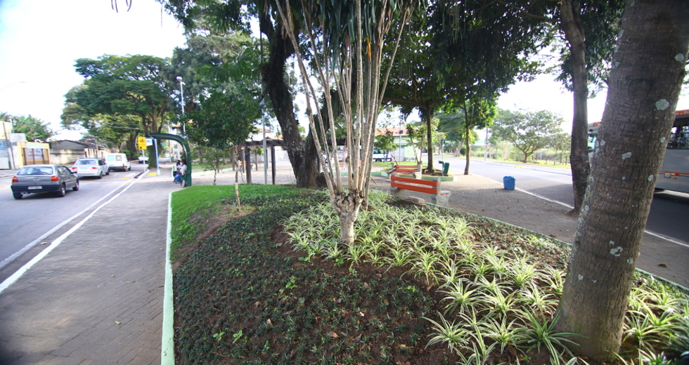 cv__3154_claudio_vieira.jpg