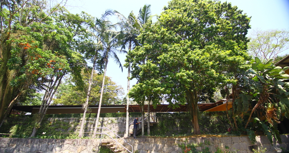 cv__9555_claudio_vieira.jpg