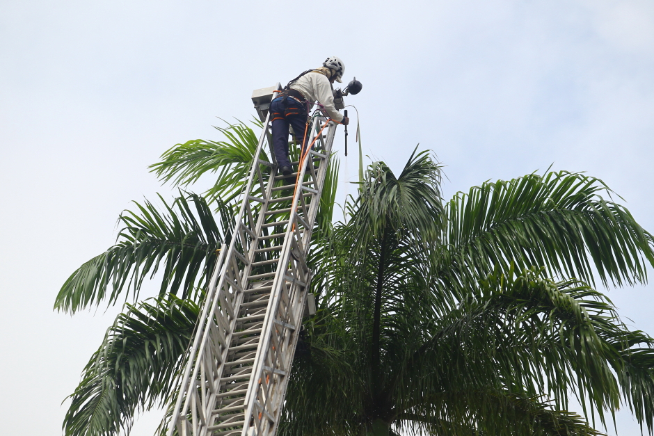 Foto: Divulgação controle-de_pragas-29-claudio_vieira.jpg