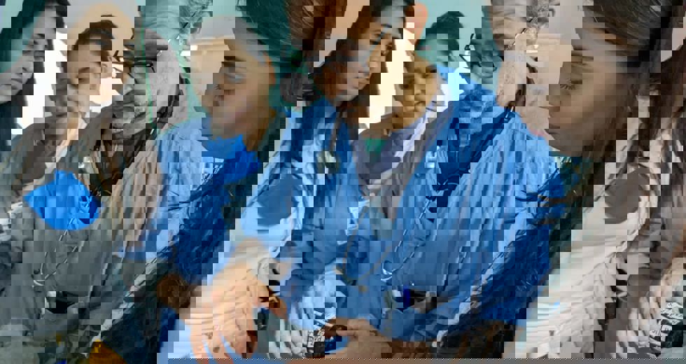 sepse-5.jpeg