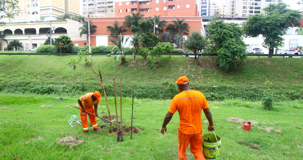 cv__5874_claudio_vieira.jpg