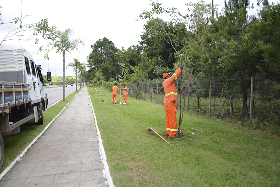 plantio-de-arvores-via-norte-20-12-2019-lucas-cabral-23.jpg