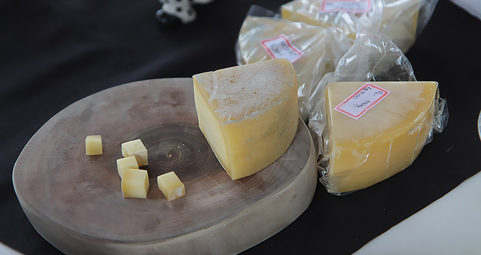 feira-produtor-rural-parque-ribeirao-vermelho-10-11-2019-lucas-cabral-15.jpg
