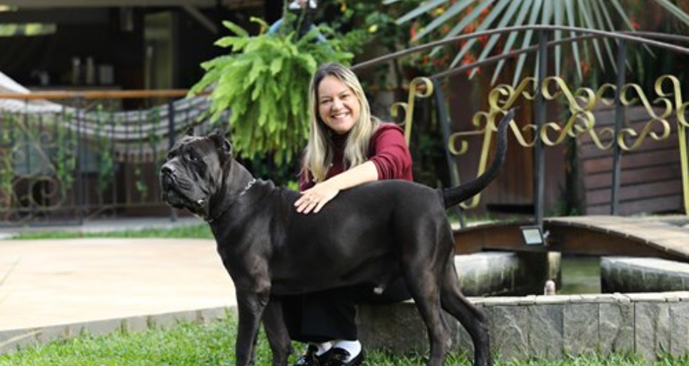 40ª fase do Meu Pet Feliz