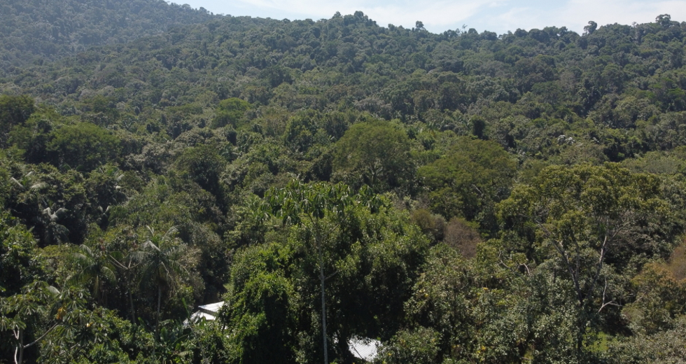 dji_0896_claudio_vieira.jpg