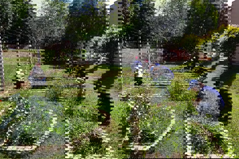 horta-ubs-5.jpeg
