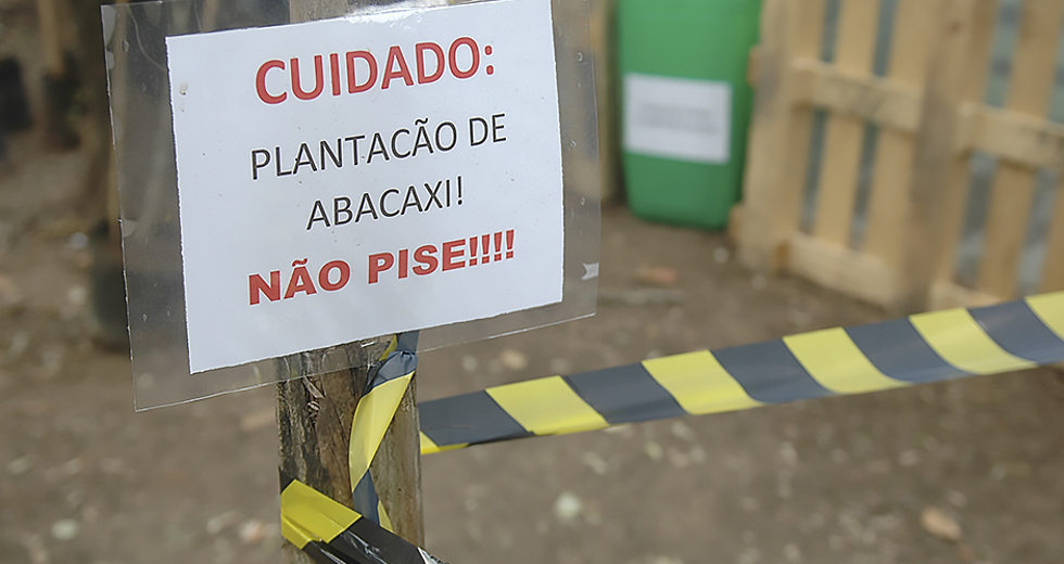 plantio-de-mudas-escola-municipal-ana-berling-24-09-2019-lucas-cabral-27.jpg