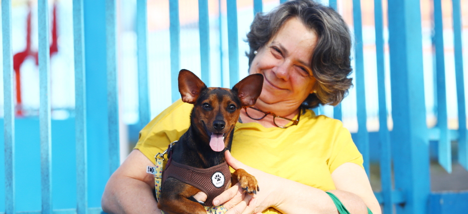 As inscrições para castração e microchipagem dos pets começam na sexta-feira (21)