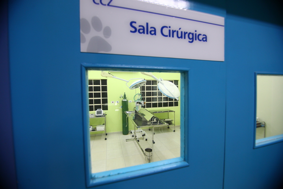 cv__9975-claudio_vieira.jpg