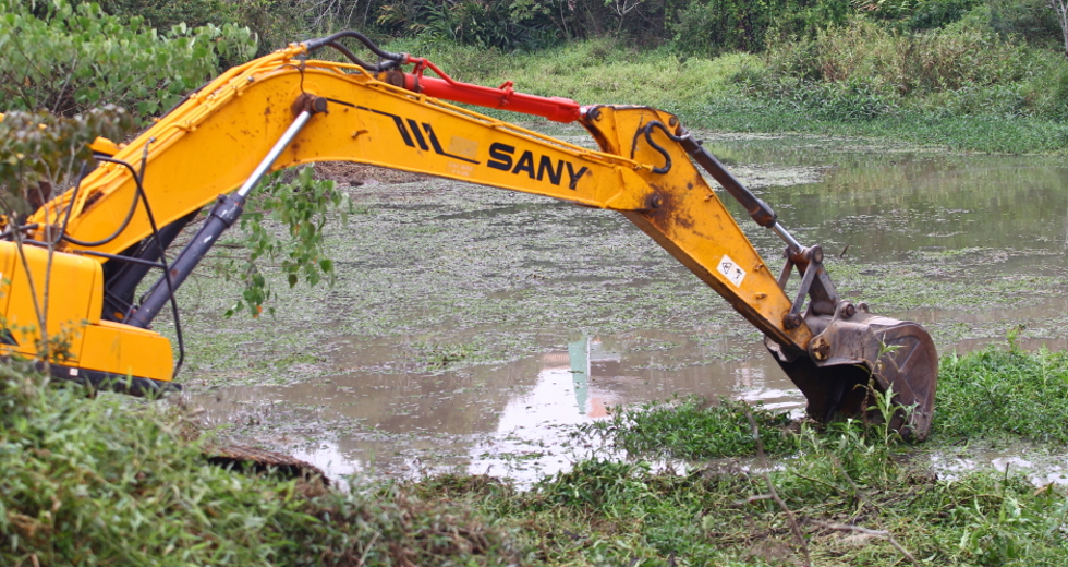 cv__7263_claudio_vieira.jpg