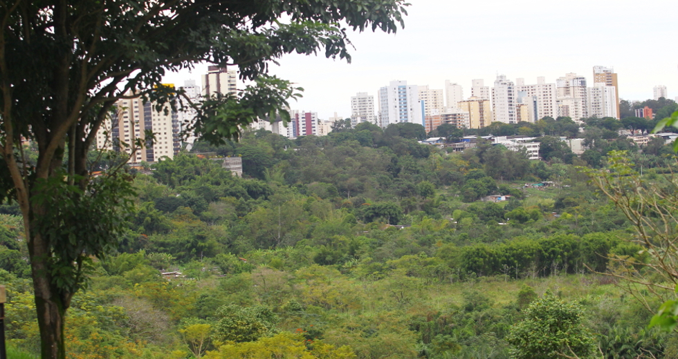 cv__9072_claudio_vieira.jpg
