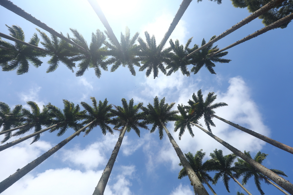 Foto: Divulgação img_6747_claudio_vieira.jpg