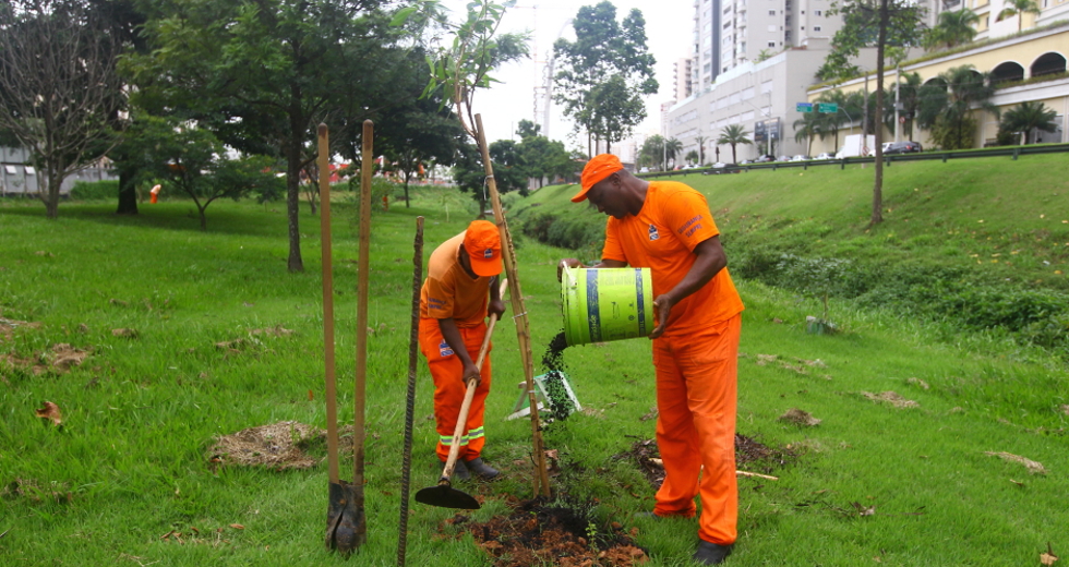 cv__5883_claudio_vieira.jpg
