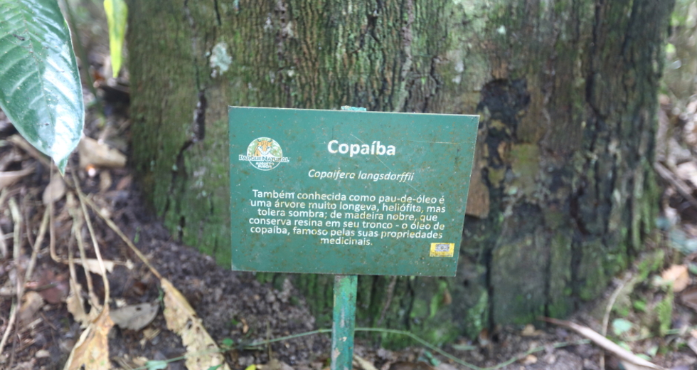img_6918_claudio_vieira.jpg
