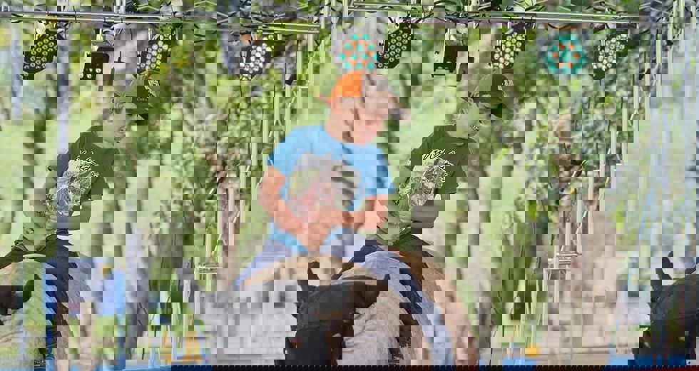 491444337_18347691559158927_3207466706934358004_n.jpg