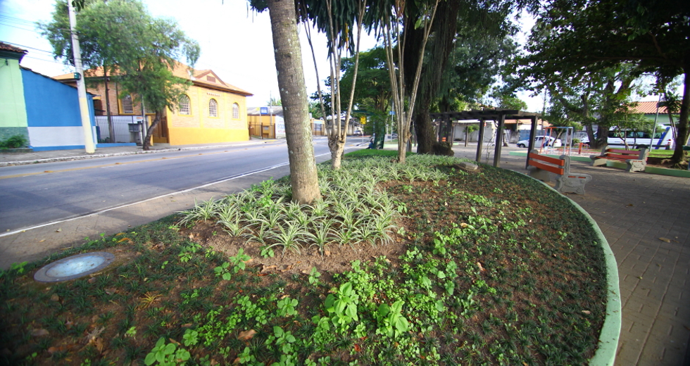 cv__3156_claudio_vieira.jpg