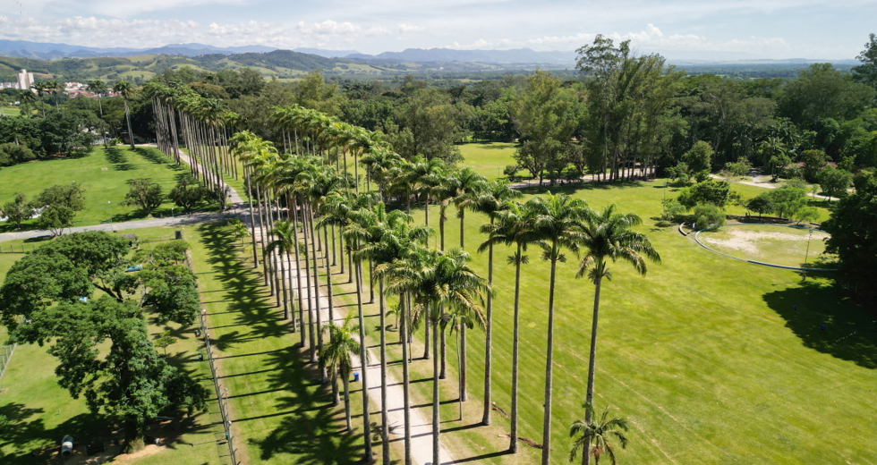 dji_0169.jpg