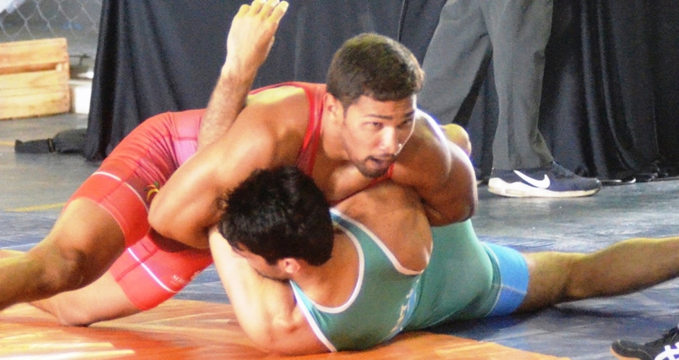 tmf_3157.jpg