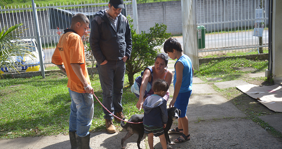 feira-de-adocao-ccz-25-05-2019-lucas-cabral-04.jpg