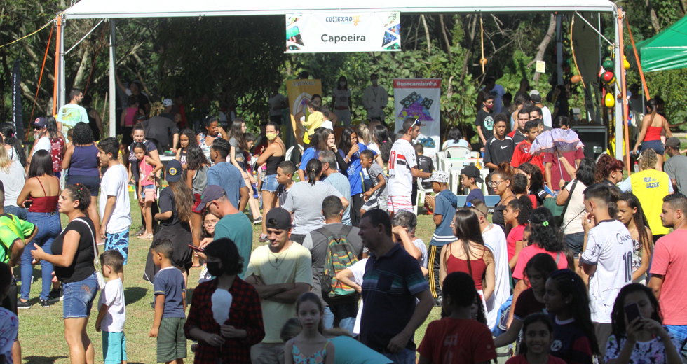 coneta1.jpg