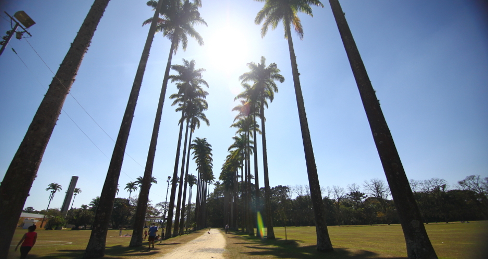 cv__0920_claudio_vieira.jpg