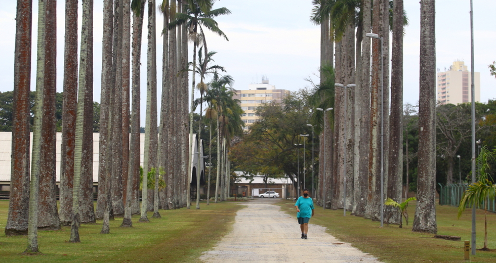 cv__7845_claudio_vieira.jpg