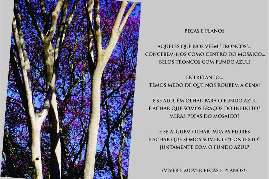 fotopoema-gilmar-dialogo-de-olhares.jpg