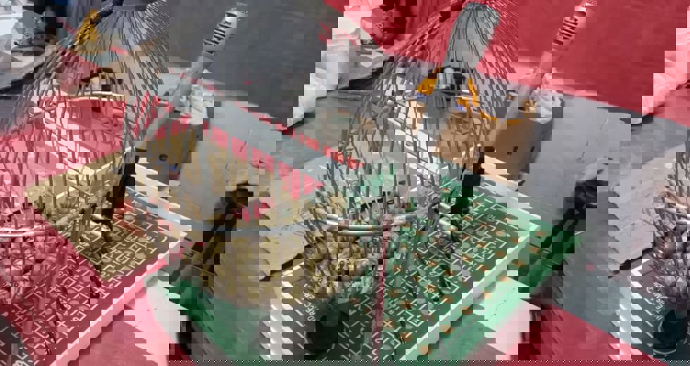 bingoclandestinozonasul2.jpeg