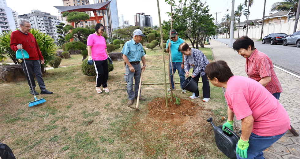 Plantio no jardim do Tori com comunidade japonesa. Foto: Claudio Vieira/PMSJC 04-10-2025