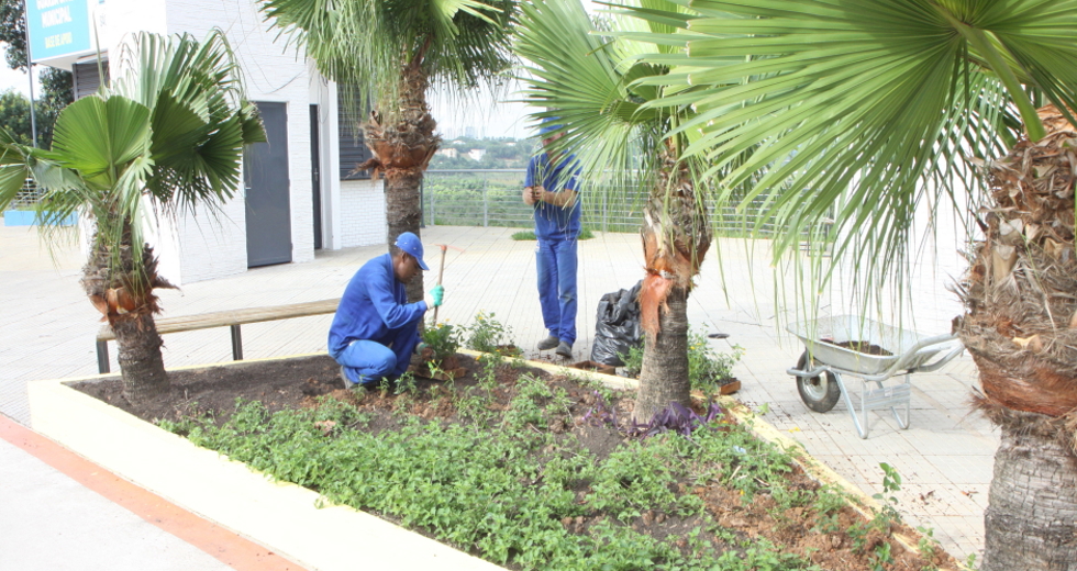 plantio_flores_jardineiras_orla_12beto_faria.jpg