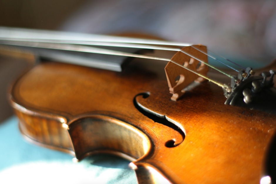 instrumento-de-cordas.jpg