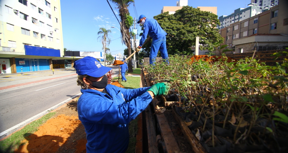 cv__2855_claudio_vieira.jpg