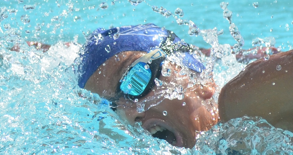 tmf_2092.jpg