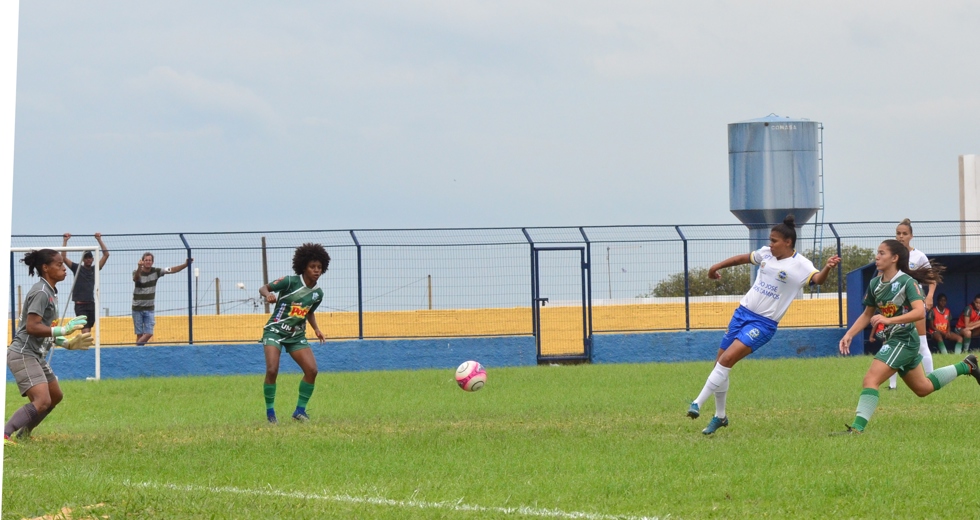tmf_6462.jpg