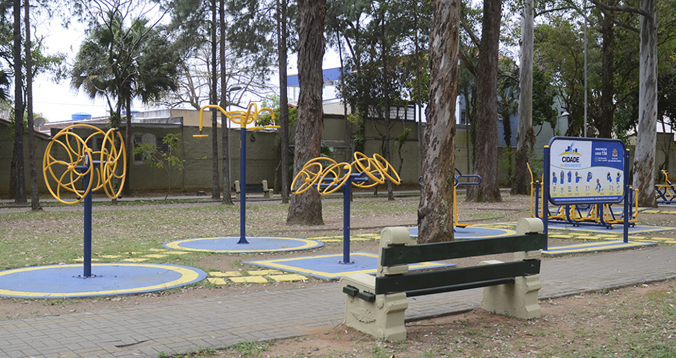 bosque-dos-eucaliptos-14-08-2019-lucas-cabral-17.jpg