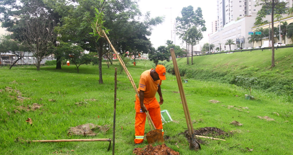 cv__5857_claudio_vieira.jpg