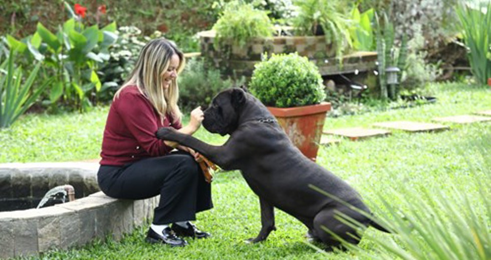 40ª fase do Meu Pet Feliz