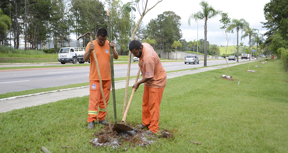 plantio-de-arvores-via-norte-20-12-2019-lucas-cabral-18.jpg