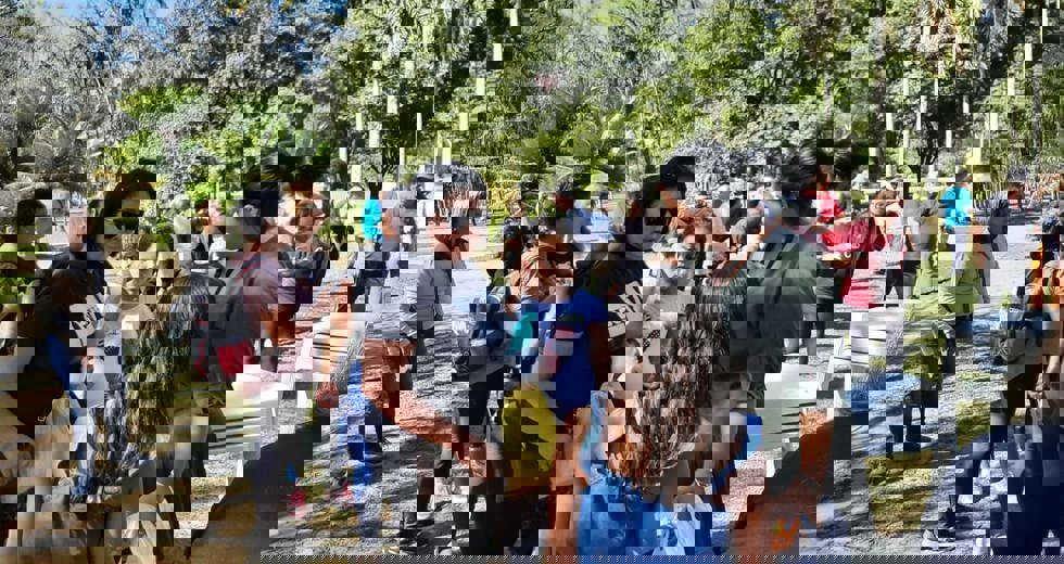 casadoidoso6.jpeg