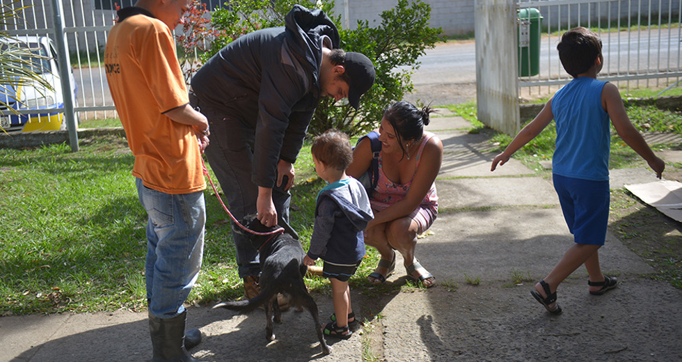 feira-de-adocao-ccz-25-05-2019-lucas-cabral-05.jpg