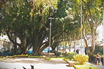 Iluminação na região central
