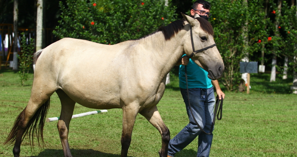 cv__8936_claudio_vieira.jpg